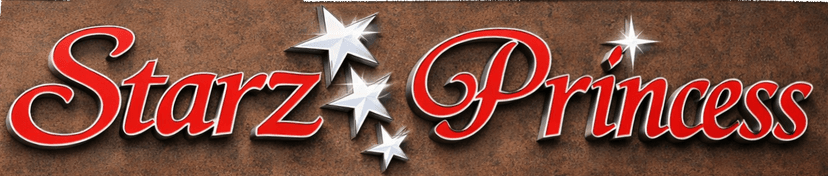 Starz Princess Banquet Hall in Ozone Park, Queens, NY